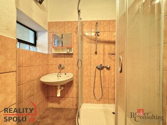 Prodej, domy/rodinný, 300 m2, 67165 Břežany, Znojmo [ID 7041 - 4