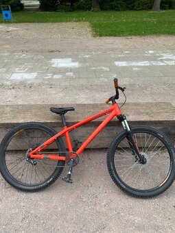 Kelly’s whip - 4