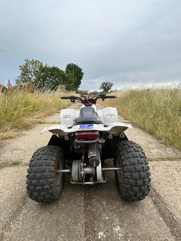 Polaris Predátor 50ccm - 4