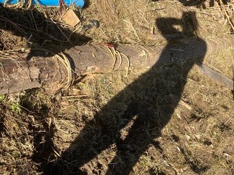 Daruji dřevo - STÁLE AKTUÁLNÍ - 4