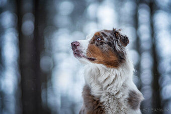 Meopta Meostigmat 119/1,9 M42 - 4