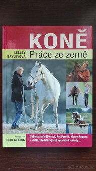 Knihy Koně , Kniha Encyklopedie Homeopatie - 4
