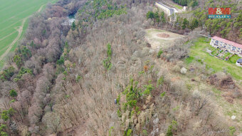 Prodej lesa, 7378 m², Bojanovice - 4