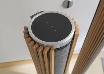 Bang & Olufsen BeoLab 28 - 4