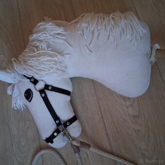 Hobby horse LarDen a překážka - 4