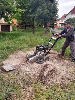 Frézování pařezů - 4