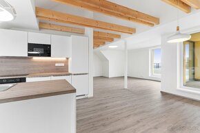 Prodej bytu 4+kk, 128 m², s terasami + 2x parkovací stání - 4