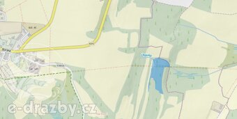 Lesní pozemky, 60 208 m2 , obec Přimda, okr. Tachov - 4
