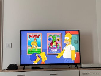 Televize LG Smart 43” 109cm - 4