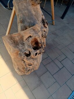 Topolové skořepiny - 4