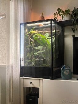 Terarium 60x45x90 - 4
