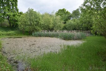 Rodinný dům na polosamotě u Krakovce , 140 m², pozemek 8.335 - 4