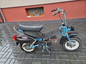 MOKIK Babetta - STELLA vzácná - 4