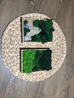 Mechové obrázky - 4