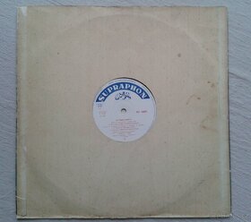 LP desky (vinyl) – mluvené slovo, od 50 Kč - 4