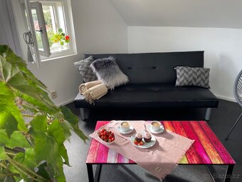 Velká garsonka na pronájem - od roku 2026 VARNSDORF - 4