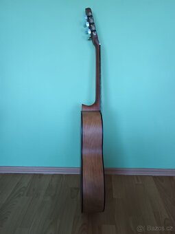 Prodám ORTEGA R55BFT - 4