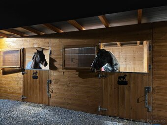 Pastevní ustájení v ráji i pro DUŠNÉ koně PRAHA 35 minut - 4