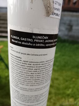 velký slunečník - 4