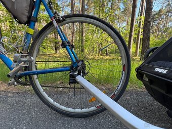 Thule Chariot Sport - 4