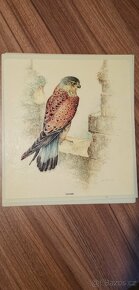 Obrázky zalaminované – retro - 4