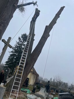 Rizikové kácení - 4