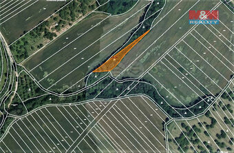 Prodej lesa, 1773 m², Němčany - 4
