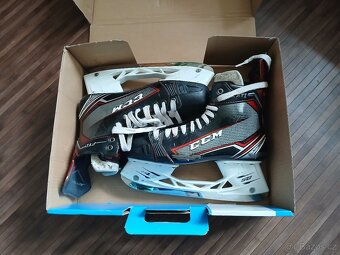 Brusle CCM jetspeed FT1 senior - 4