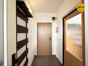 Velmi pěkný byt 1+1 s balkonem, 134436 - 4