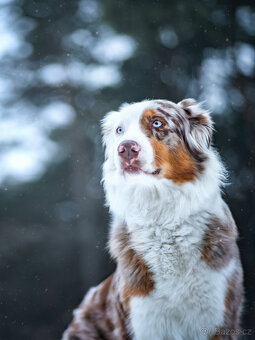 Meopta Meostigmat 71/1,7 Sony E a další - 4