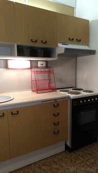 Pronájem bytu 2+1 47m² - 4