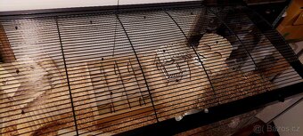 ‼️‼️ AKTUALIZOVÁN‼️‼️ ✅🐹😊 VYBAVENÁ KLEC PRO HLODAVCE 😊🐹✅ - 4