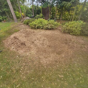 Likvidace, odstranění pařezů, frézování pařezu - 4