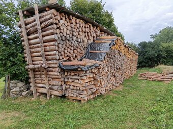 Suché palivové dřevo - 4
