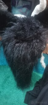 Fursuit - 4