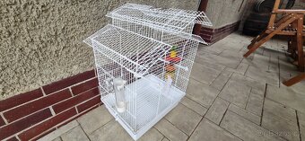 Klec pro papouška - 4