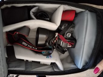 Canon R6 - 4