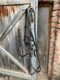 Obnosek, hackamore - 4