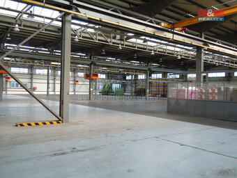 Pronájem výrobního objektu, 4465 m², Červený Kostelec, Lhota - 4