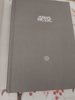 Hermann Hesse .Hra se sklenenymi perly - 4