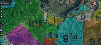 Nabídka lesních pozemků - Investice do budoucnosti u obce Bz - 4