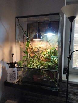 Terárium 50x40x80 cm s 3D stěnou - 4