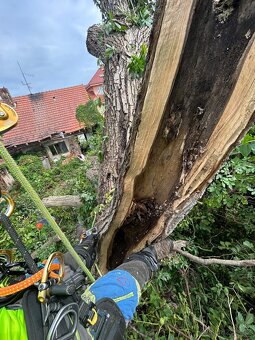 Kácení stromů • Péče o zahradu • Likvidace Dřevin - 4