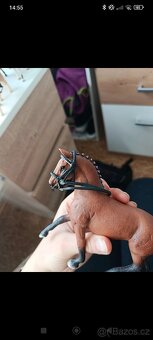 Schleich drezurní uzdečka - 4