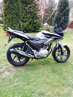 Honda CBF 125 - 4