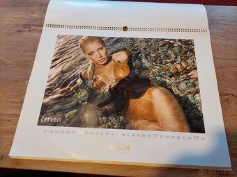 NÁSTĚNNÉ KALENDARE ROK 2008 a 2009 - 4