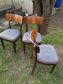Starožitné židle Thonet_cena za kus - 4