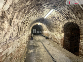 Vinný sklep s projektem, Čejkovice - 4
