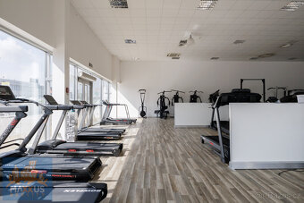 Pronájem obchodních prostor/showroomu (490,9 m2), SHOP PARK - 4