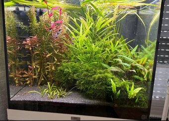 Akvarium Juwel lido 120 - 4